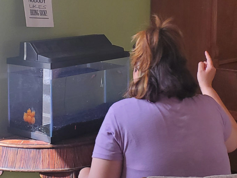 Caregiver Tips Benefits of Pets & Animals Fremont Home Care